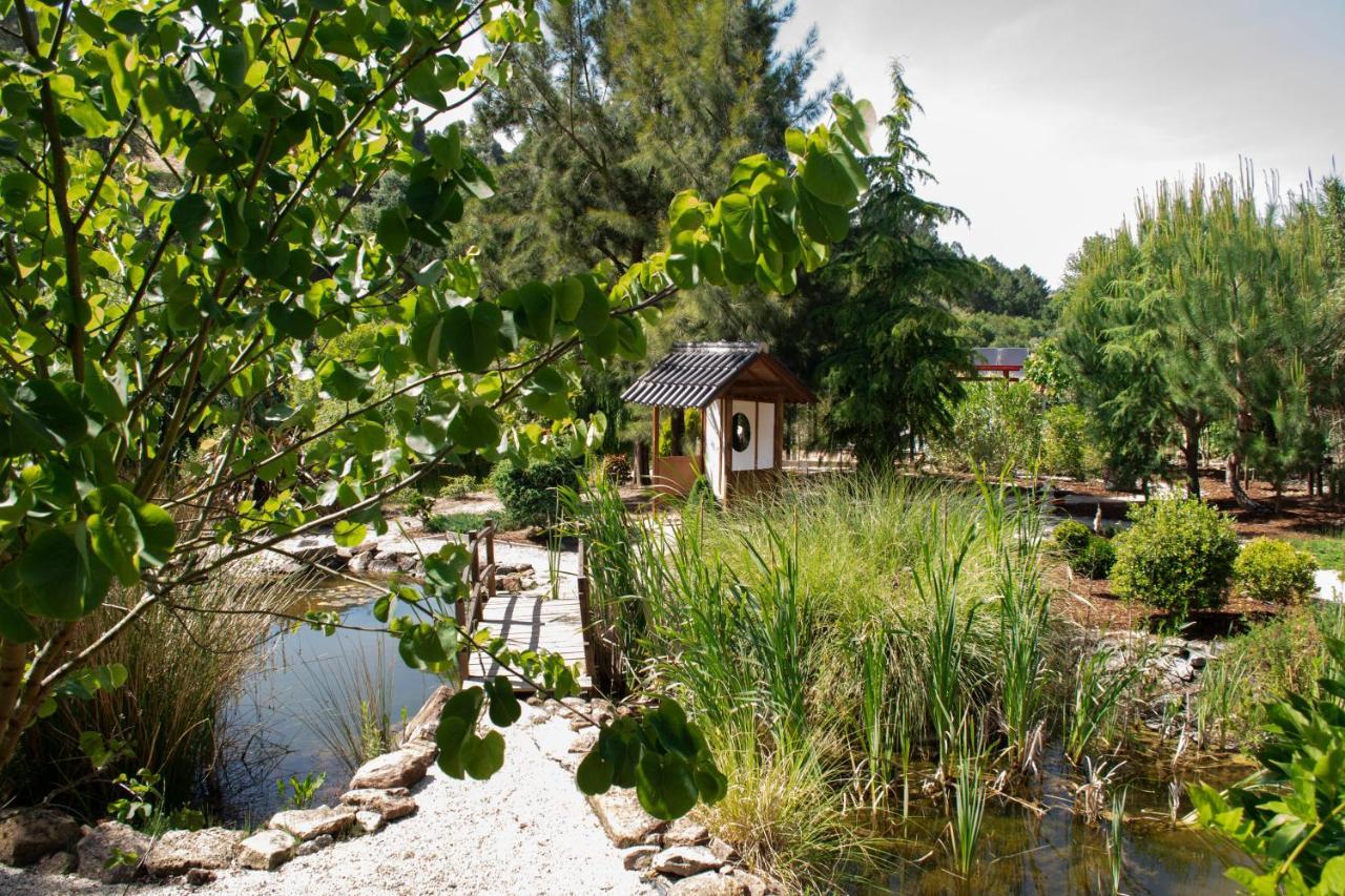 Quinta Japonesa Bed & Breakfast Carvalhal Bemfeito ภายนอก รูปภาพ