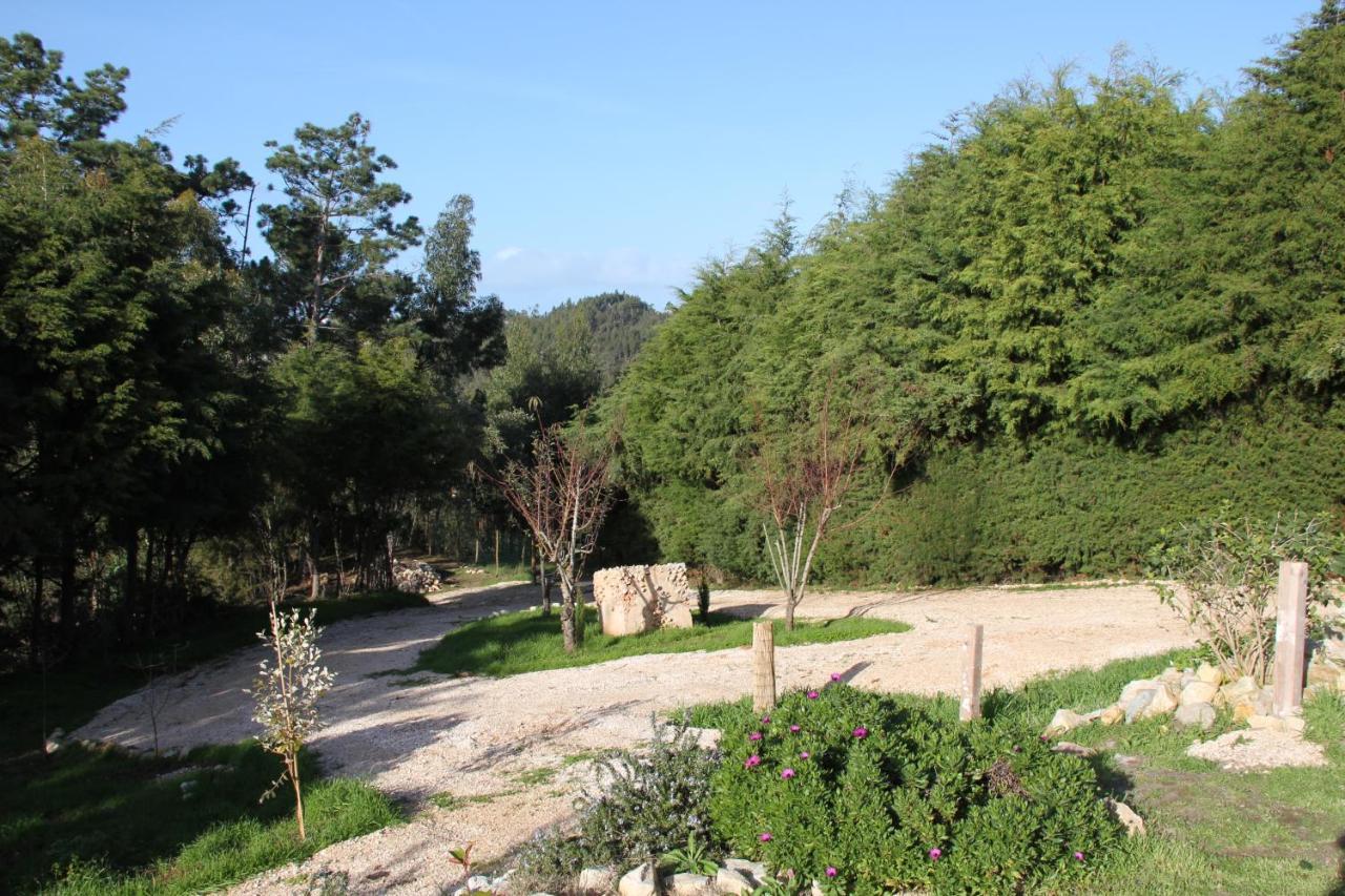 Quinta Japonesa Bed & Breakfast Carvalhal Bemfeito ภายนอก รูปภาพ