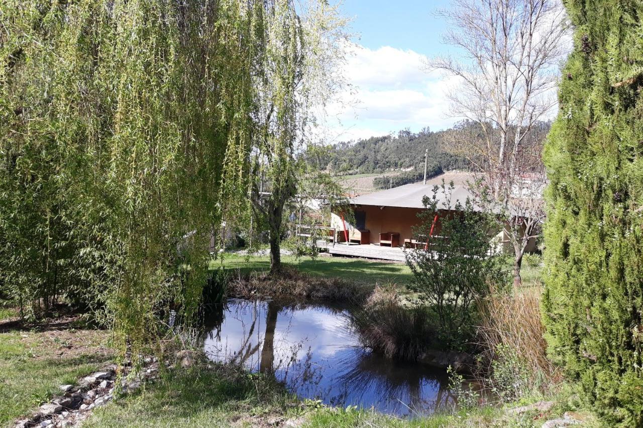 Quinta Japonesa Bed & Breakfast Carvalhal Bemfeito ภายนอก รูปภาพ