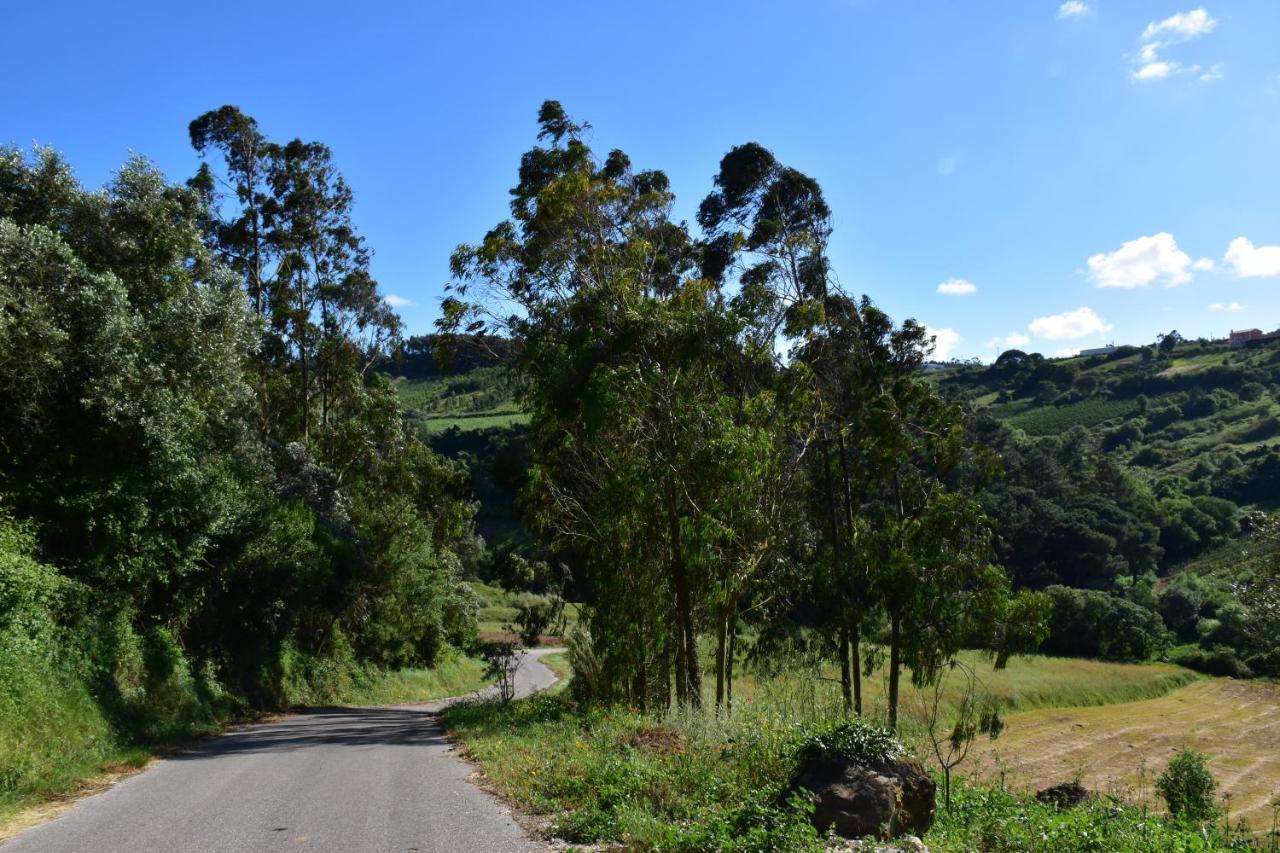 Quinta Japonesa Bed & Breakfast Carvalhal Bemfeito ภายนอก รูปภาพ