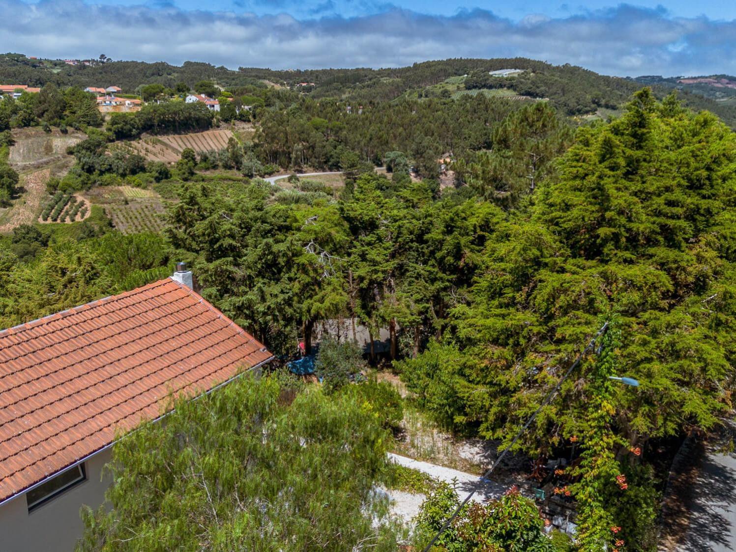 Quinta Japonesa Bed & Breakfast Carvalhal Bemfeito ภายนอก รูปภาพ